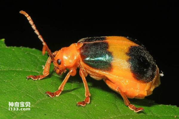 2023102793239370.jpg 9(1).jpg