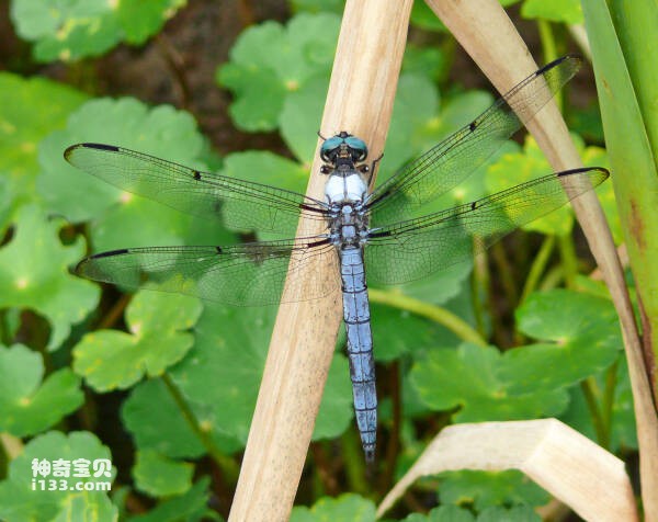 2023102811125668.jpg 5.jpg