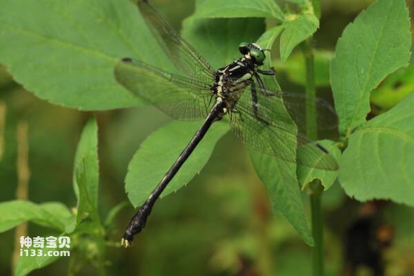 2023102812203282.jpg 8.jpg