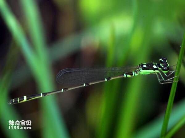 2023102813766988.jpg 4.jpg