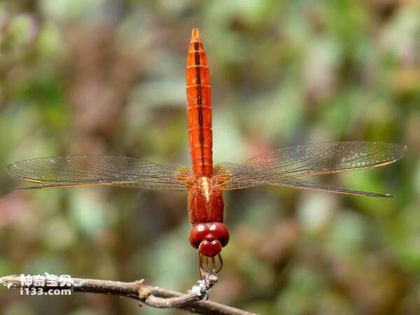 2023102819759123.jpg 6.jpg