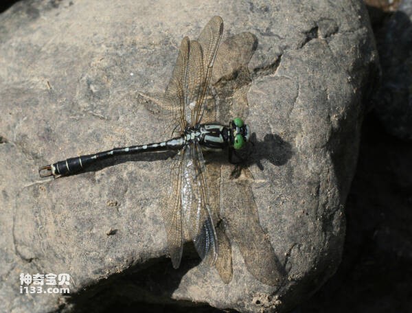 2023102820490426.jpg 7.jpg