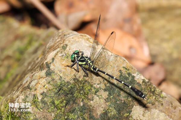 2023102879861911.jpg 2.jpg