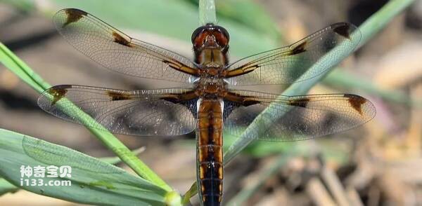 2023102898950291.jpg 3.jpg