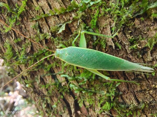 2023103015479425.jpeg 10(1).jpeg