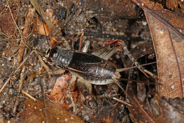 2023103018024236.jpeg 1(1).jpeg