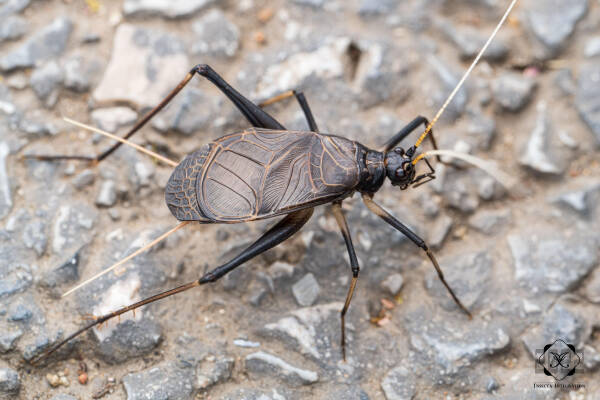 2023103019712388.jpeg 4(1).jpeg