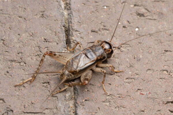 2023103080415300.jpeg 2(1).jpeg