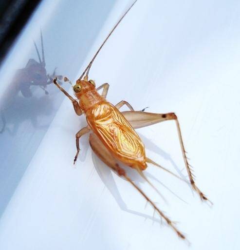 2023103091190136.jpeg 9(1).jpeg