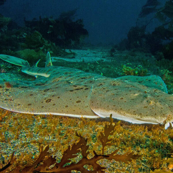 2023103165633960.jpeg 10(1).jpeg