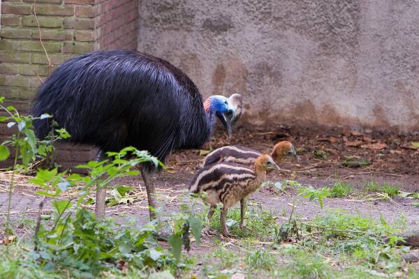 2023110120164242.jpeg 2(1).jpeg