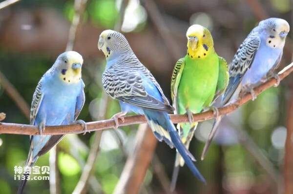 2023110212232706.jpg 2(1).jpg