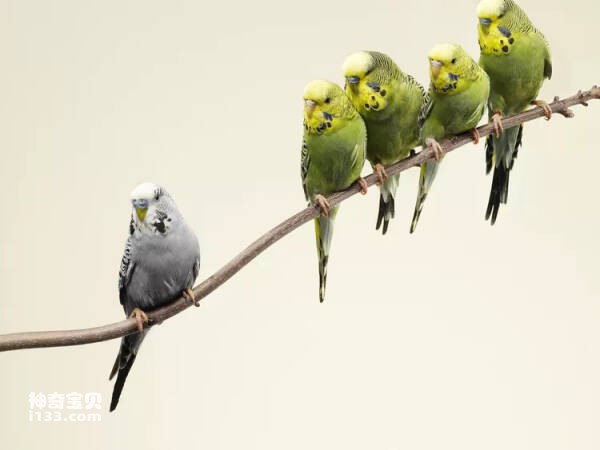 2023110215512967.jpg 6(1).jpg