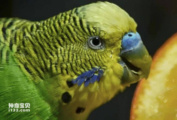 2023110217079066.jpg 7(1).jpg