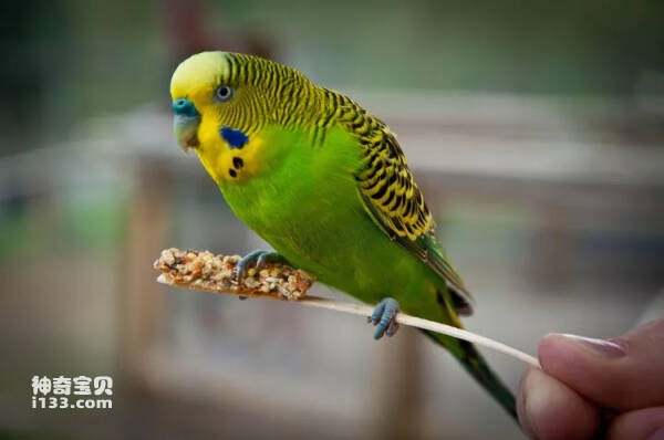 2023110299321757.jpg 3(1).jpg