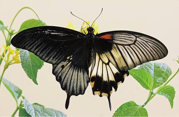 2023110319178061.jpeg 3(1).jpeg