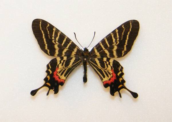 2023110334950348.jpeg 2(1).jpeg