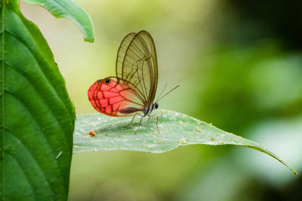 2023110364194497.jpeg 6(1).jpeg