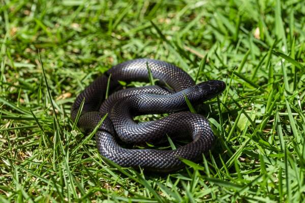 2023110380084952.jpeg 6(1).jpeg