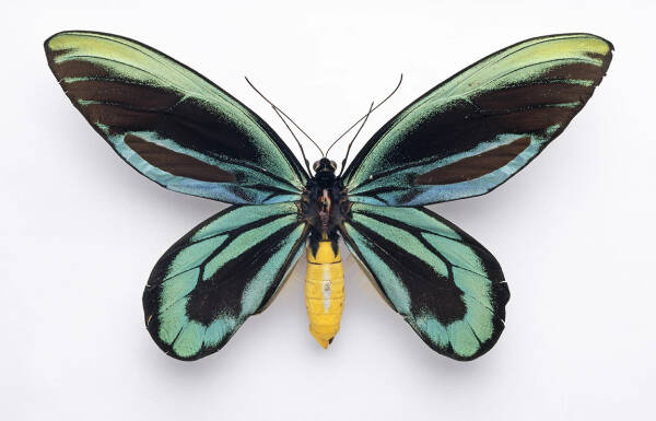 2023110383718734.jpeg 4(1).jpeg