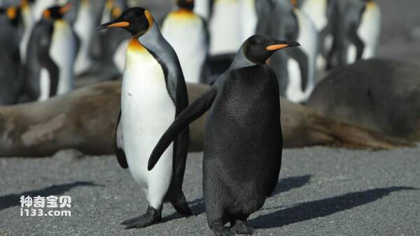 2023110394031847.jpg 5(1).jpg