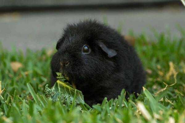 2023110398580223.jpeg 9(1).jpeg