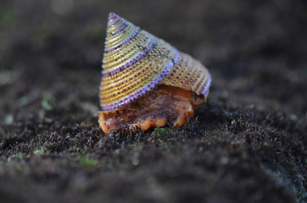 2023110415142331.jpeg 7(1).jpeg