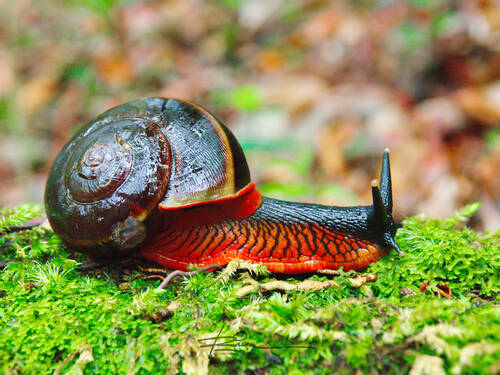 2023110470920733.jpeg 10(1).jpeg