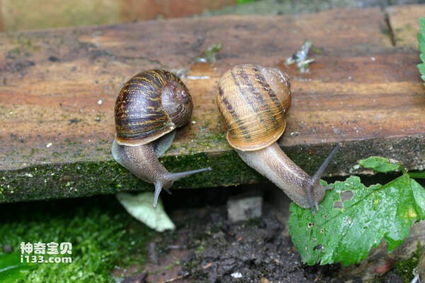 2023110512017117.jpg 10(1).jpg