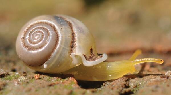 2023110518935667.jpeg 8(1).jpeg