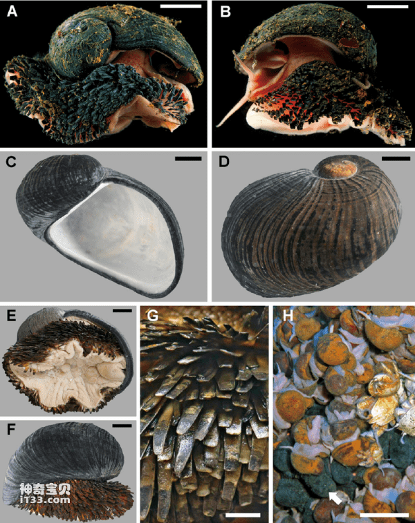 2023110579012231.png 4(1).png