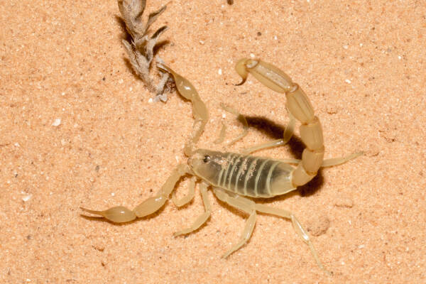 2023110615379570.jpeg 10(1).jpeg