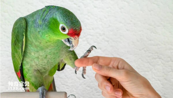 2023110616517641.jpg 2(1).jpg