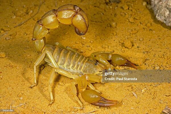 2023110641297003.jpeg 5(1).jpeg