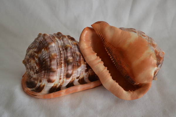 2023110712697470.jpeg 3.jpeg