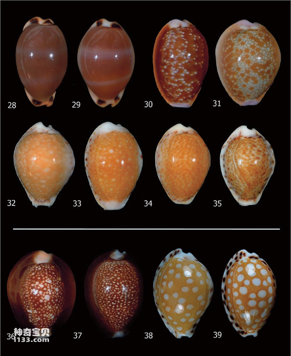 2023110720553903.png 10.png