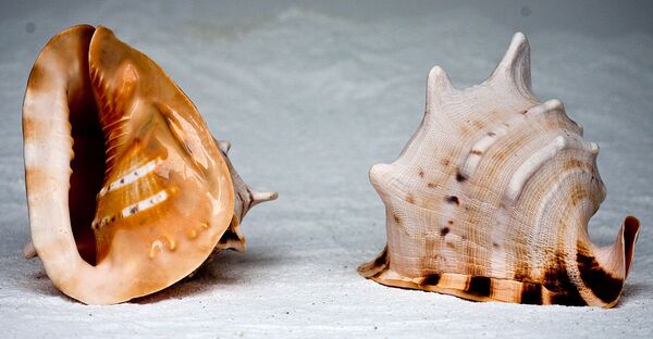 2023110730176889.jpeg 4.jpeg