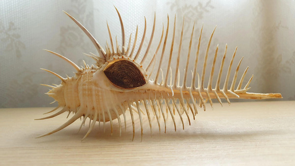 2023110780009265.jpeg 5.jpeg