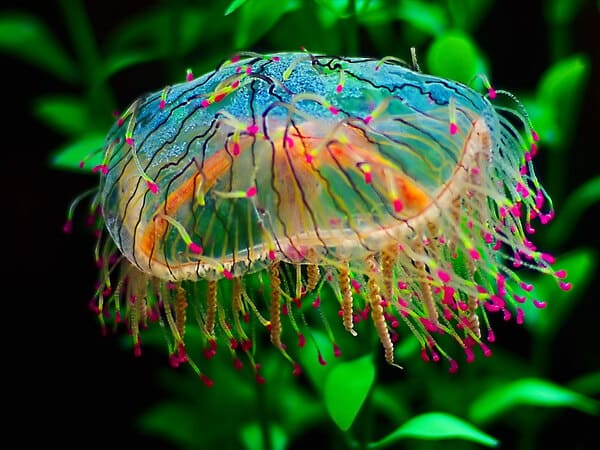 2023110812025613.jpeg 4.jpeg