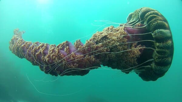 2023110818924731.jpeg 6.jpeg