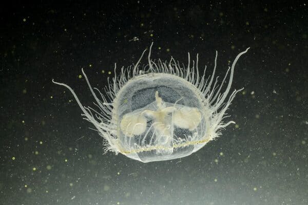 2023110853283963.jpeg 8.jpeg