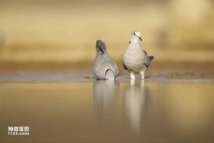 2023110910351613.jpg 6.jpg