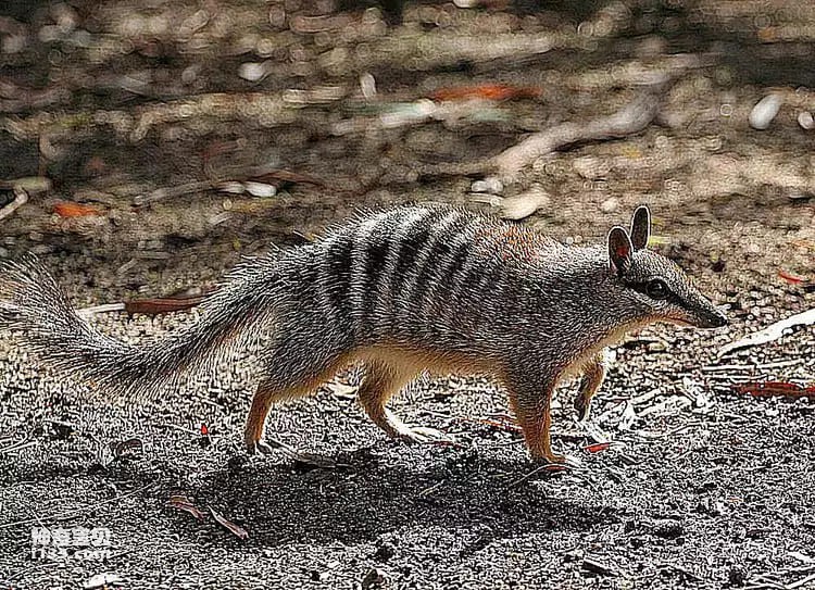 2023110910663975.jpg 9.jpg