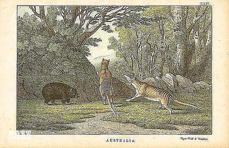 2023110911390079.jpg 5.jpg