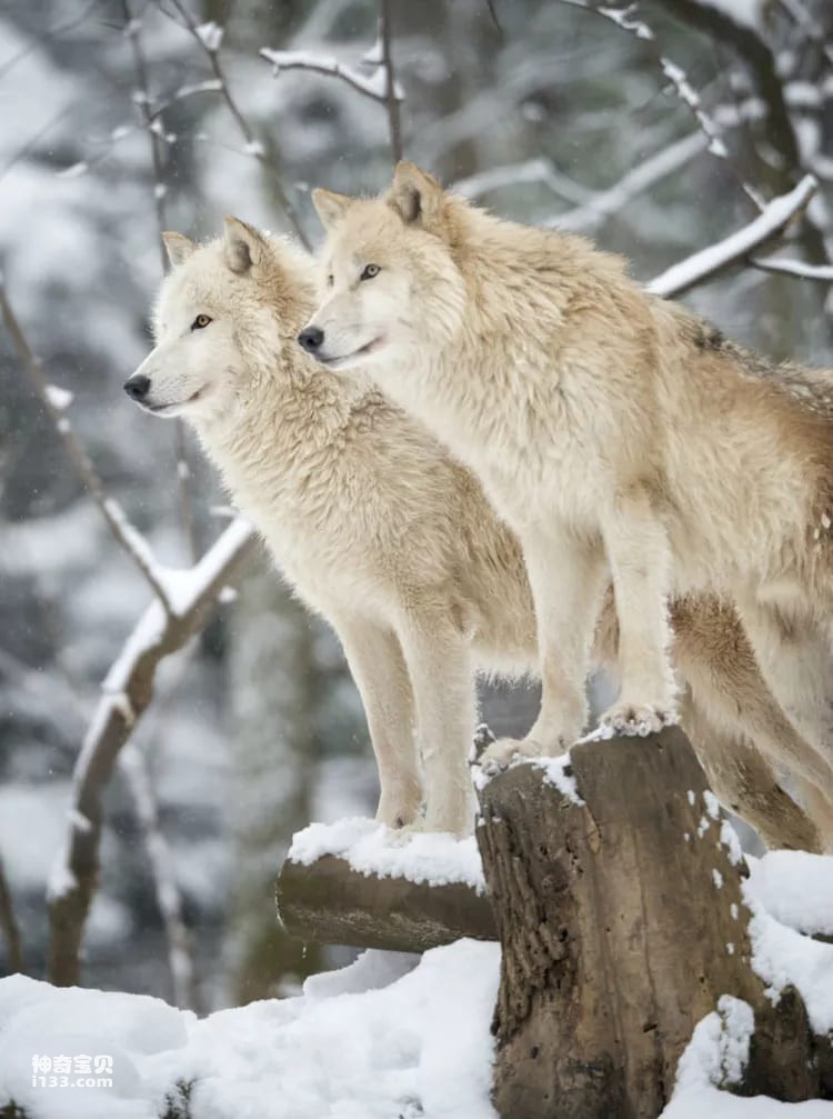 2023110911980008.jpg 2.jpg