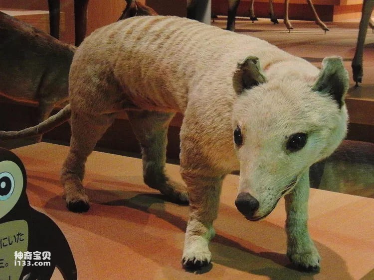 2023110913724607.jpg 6.jpg