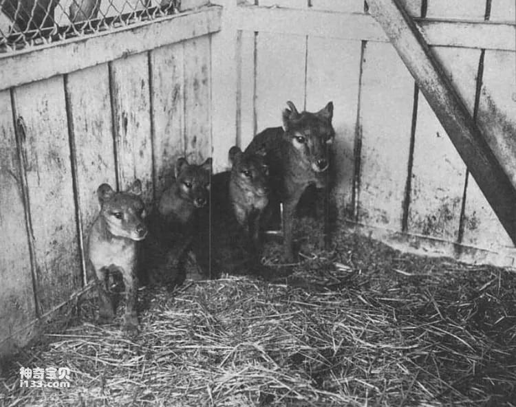 2023110915665302.jpg 1.jpg