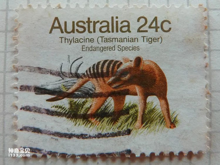 2023110915917427.jpg 3.jpg