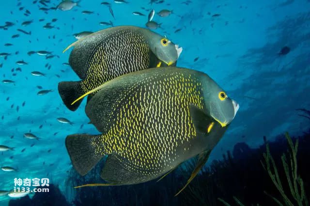 2023110920349830.jpg 5.jpg