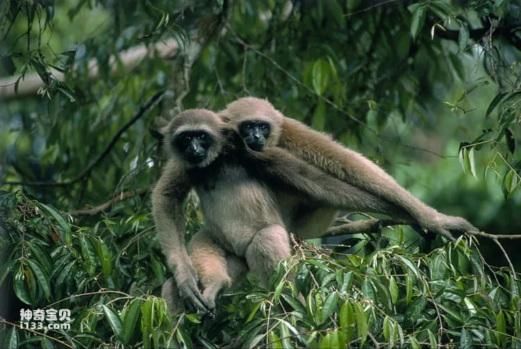 2023110941357954.jpg 4.jpg